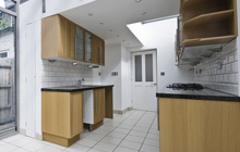 Dulwich Village kitchen extension leads